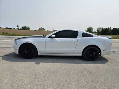 2014 Ford Mustang, $13500. Photo 3