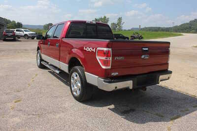 2013 Ford F150 Crew Cab, $9999. Photo 7