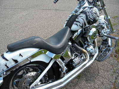 2001 Thunder Mountain Hd , $10000. Photo 12