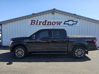 2020 Ford F150 Crew Cab, $31990.00. Photo 7