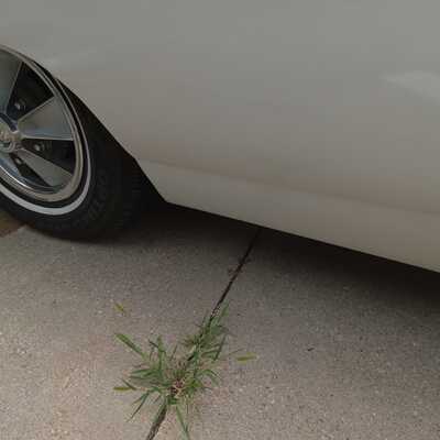 1967 Chevrolet Impala, $19999. Photo 7