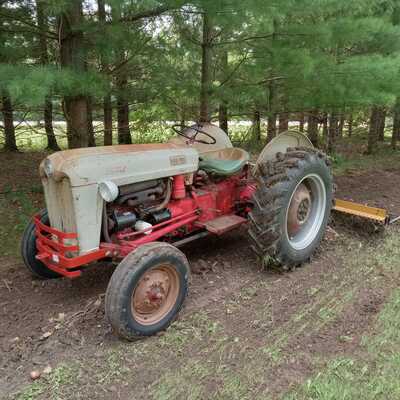 1955 Ford , $5999. Photo 1