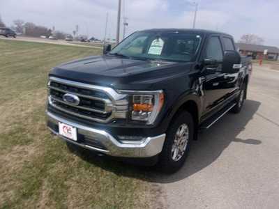 2022 Ford F150 Crew Cab, $31999.0. Photo 2