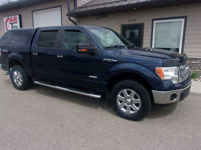 2014 Ford F150 Crew Cab, $17999.0. Photo 2