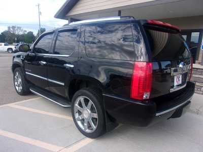 2008 Cadillac Escalade, $9999.0. Photo 5