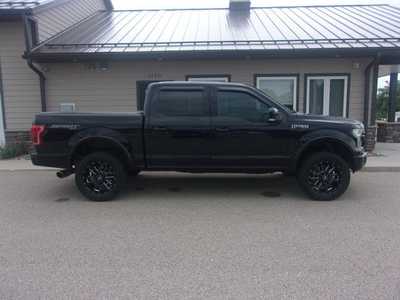 2017 Ford F150 Crew Cab, $21999.0. Photo 1