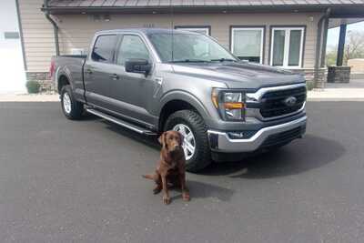 2023 Ford F150 Crew Cab, $32999.0. Photo 3