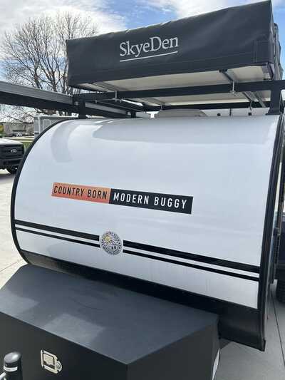 2025 Other Modern Buggy, $14900. Photo 4