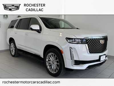 2023 Cadillac Escalade, $75995. Photo 1
