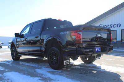 2024 Ford F150 Crew Cab, $41995. Photo 7