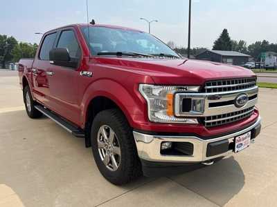 2020 Ford F150 Crew Cab, $31900. Photo 6