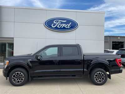 2023 Ford F150 Crew Cab, $42900. Photo 2