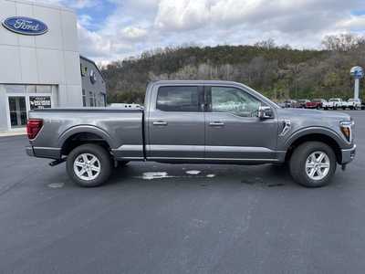 2025 Ford F150 Crew Cab, $64664.00. Photo 2