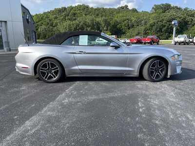 2020 Ford Mustang, $18000.00. Photo 2