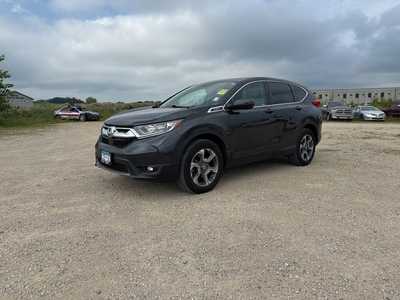2019 Honda CR-V, $20990. Photo 3