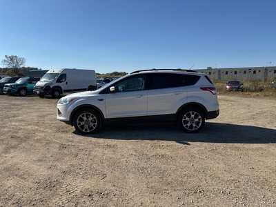 2013 Ford Escape, $8990. Photo 4