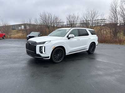 2024 Hyundai Palisade, $47990. Photo 3
