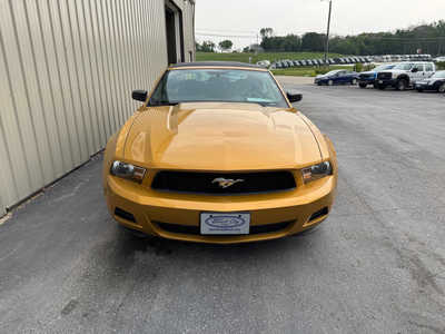 2010 Ford Mustang, $12999. Photo 4
