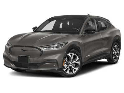 2021 Ford Mustang Mach-E, $0. Photo 1