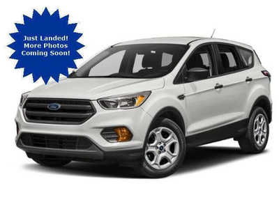 2019 Ford Escape, $12769. Photo 1