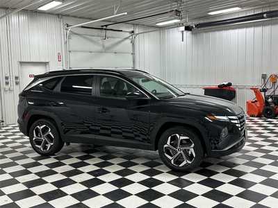 2024 Hyundai Tucson, $36335. Photo 4