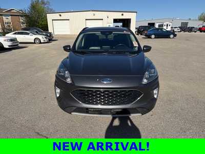 2020 Ford Escape, $20490. Photo 2