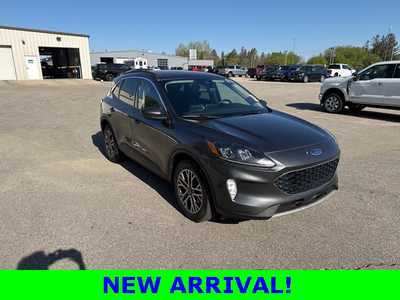 2020 Ford Escape, $20490. Photo 3