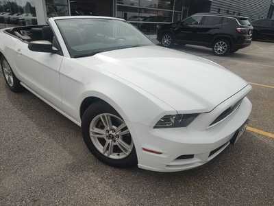 2014 Ford Mustang, $15990. Photo 3