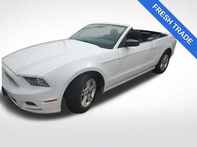 2014 Ford Mustang, $15990. Photo 1