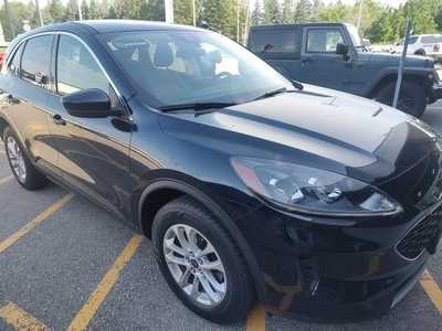 2021 Ford Escape, $18490. Photo 3