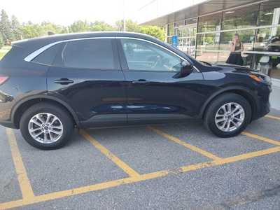 2021 Ford Escape, $18490. Photo 4