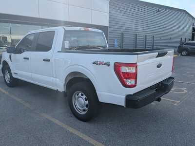 2023 Ford F150 Crew Cab, $27340. Photo 3