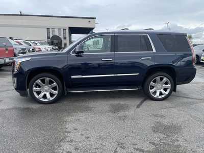 2019 Cadillac Escalade, $28990. Photo 5
