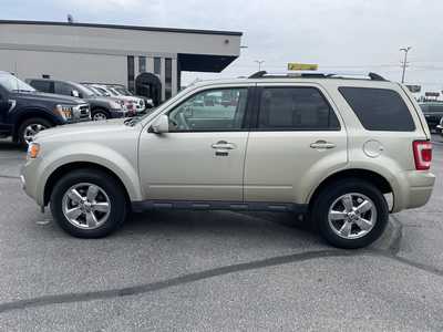 2010 Ford Escape, $8995. Photo 5