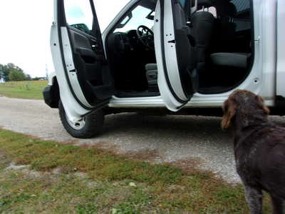 2016 Chevrolet 2500 Crew Cab, $23900. Photo 3