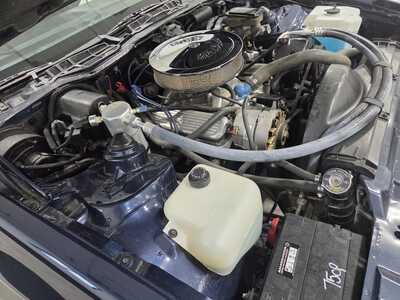 1982 Pontiac Firebird, $12500. Photo 11