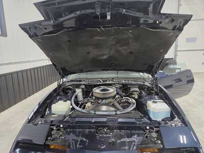 1982 Pontiac Firebird, $12500. Photo 12
