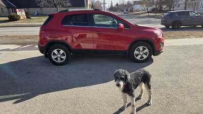 2016 Chevrolet Trax, $6995. Photo 2