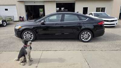 2019 Ford Fusion, $13995. Photo 1