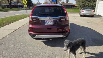 2016 Honda CR-V, $13995. Photo 4
