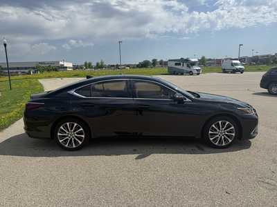 2020 Lexus ES Series, $29995. Photo 5