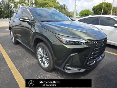 2025 Lexus NX, $49995. Photo 1