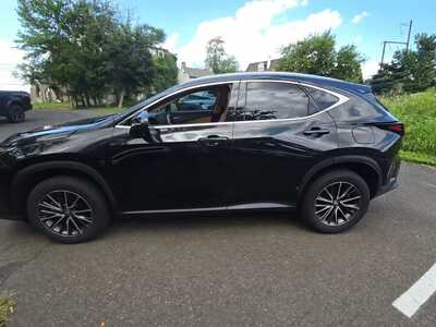 2024 Lexus NX, $42675. Photo 2