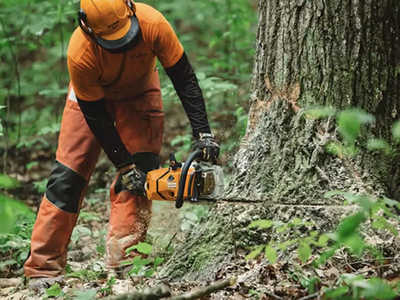 0 Stihl MS 500i 25 in., $1559. Photo 3