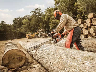 0 Stihl MS 661 C-M Magnum 25, $1539. Photo 4