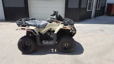 2024 Arctic Cat Alterra 300, $4899. Photo 4
