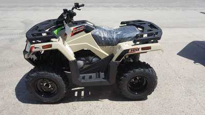 2024 Arctic Cat Alterra 300, $4899. Photo 1