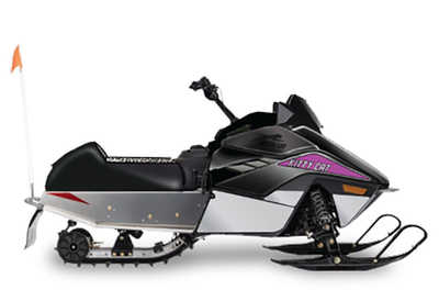 2026 Arctic Cat Kitty Cat, $4999. Photo 5