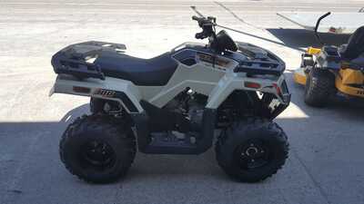 2024 Arctic Cat Alterra 300, $4899. Photo 4