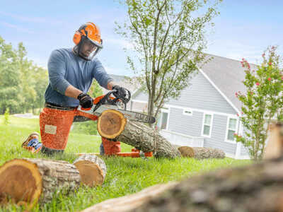 0 Stihl MS 172 C-E 16 in., $249.95. Photo 5